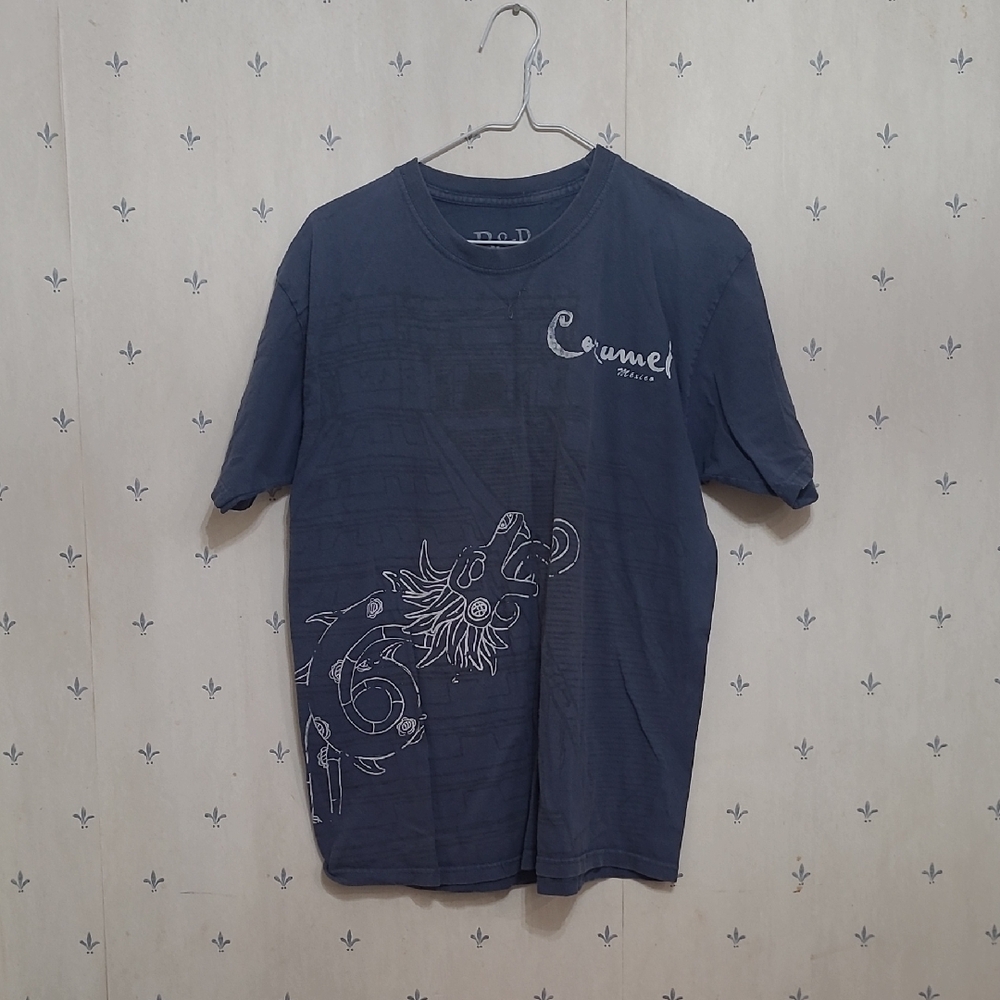 Men's Navy Graphic Tee
